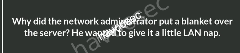 Tech LOLs: A Byte of Humor for Your Inner Geek