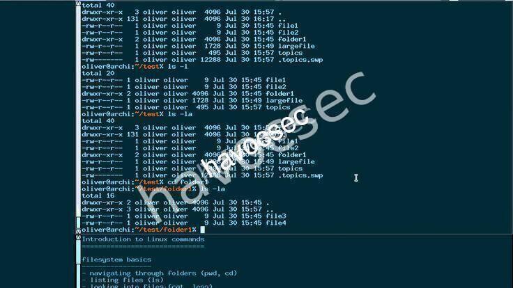 Mastering Bash Scripting: From Zero to Automation Hero